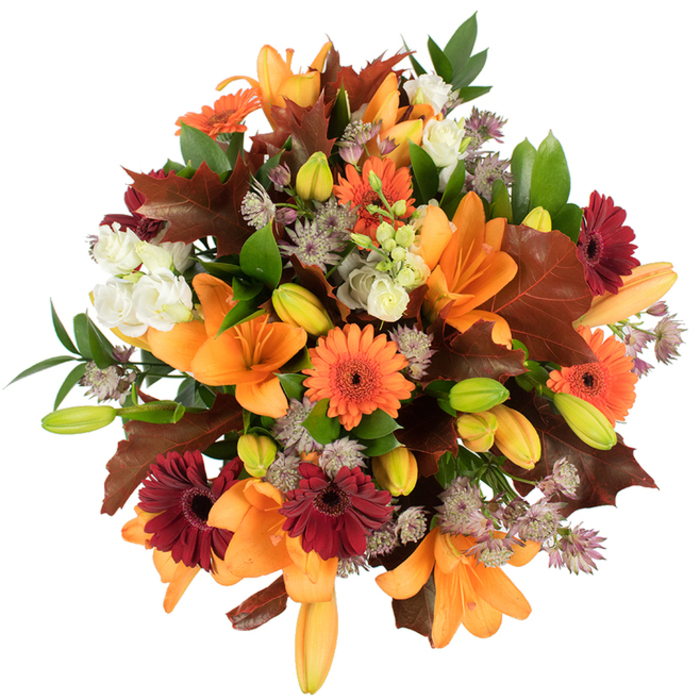 A richly textured overhead composition that captures the season's generous spirit, carefully arranged as if by a local hand familiar with Cockfosters' parks and high street feel. Dominating the centre are several fully opened orange Asiatic lilies, their broad, trumpet-like petals smooth and slightly glossy, surrounded by numerous compact lily buds in pale orange and green that promise unfolding colour. Bright orange and deep burgundy Gerbera daisies are interspersed throughout, each with distinct dark centres and radiating petals that lend a joyful, rustic punctuation to the palette. Creamy white Lisianthus with layered, ruffled petals offer soft highlights against the warmer tones, while clusters of muted purple Astrantia bring a fine, starry texture that feels almost lace-like. Accenting the flowers are generous, lobed leaves in warm reddish-brown - evocative of oak leaves gathered along Cockfosters Road - and fresh green foliage that provides crisp contrast and structural support. The bouquet is tightly assembled, appearing lush and freshly cut, and the bright, even lighting against a pristine white background enhances the vibrancy of the oranges, burgundies and greens. As a florist who knows the rhythms of local markets and neighbourhood deliveries around Oakwood and Trent Country Park, I see this as an ideal seasonal arrangement for a harvest table, a heartfelt birthday in autumn, or a centrepiece that brings the outdoors in. For those who value provenance and craftsmanship, Florist Cockfosters often selects blooms with this balance of texture, colour and tactile charm.