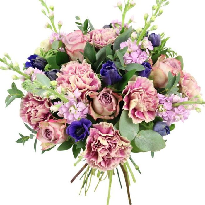 Captured against a clean white backdrop, this hand-tied bouquet has the poised elegance of a carefully composed painting, yet clearly shows the freshness of flowers just prepared for delivery around Cockfosters. At the heart of the arrangement, several fully opened garden roses form a romantic centre: their many petals curl outward in tight spirals, displaying colour variations from soft blush pink to smoky dusty mauve and antique rose. These rose tones are echoed and enhanced by an abundance of ruffled carnations, each bloom layered with creamy centres that gradually deepen to warm rose, fuchsia, and plum shades at the petal tips. The intricate, frilled edges of the carnations add a sense of movement and lushness, creating a soft cushion around the central roses. Weaving through the composition are rich accents of deep indigo and royal blue, likely compact anemones or tulip-shaped buds, adding strong, jewel-toned contrast to the otherwise gentle palette. A standout royal blue anemone with a dark, almost black centre features prominently toward the lower front, grounding the bouquet visually. Slender stems of lilac and pale lavender stock rise above and between the main blooms, carrying many small flowers clustered along each stalk, introducing light vertical lines and suggesting a subtle floral fragrance. Surrounding all of this, plentiful greenery in varying tones completes the design: dark, glossy rose leaves provide structure, while rounded, silvery eucalyptus leaves lend a cool, contemporary touch and a hint of freshness. The stems are carefully gathered and visible at the base, indicating a freshly tied bouquet, ready for a special occasion. The interplay of romantic pinks, serene purples, dramatic blues, and fresh greens creates a sophisticated arrangement, perfect for anniversaries, milestone birthdays, or refined congratulations for residents in Cockfosters, Hadley Wood, and the nearby quiet residential streets.