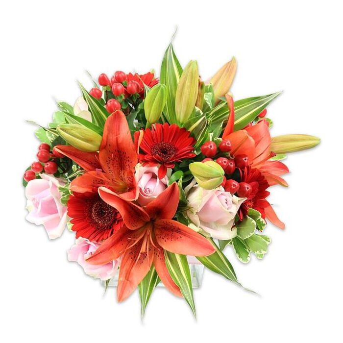 Framed by a pristine white background, this dense, rounded bouquet reads like a painter's study in warm tones and rich textures, centred on a cluster of striking orange-red Asiatic lilies. The lilies' broad petals curve gracefully, some completely open to expose fine speckling and bold stamens, others still in tapered bud form promising blooms to come. Interspersed are vivid crimson Gerbera daisies whose radial petals and darker centers add a bold, cheerful rhythm, while delicate blush-pink roses nestle between larger flowers, their layered petals softening the arrangement with a classic romantic note. Bright red hypericum berries appear in little clusters, their glossy, bead-like surfaces catching the light and offering a festive, tactile contrast to the smoother flower faces. Lush greenery - a variety of textures from broad, satiny leaves to pointed lily foliage and a few variegated sprigs with pale streaks - provides both backdrop and structure, giving the bouquet its generous fullness. Photographed in clear, soft light, the colours read true and vivid, evoking warmth and joyful sentiment. A gentle fragrance mix of roses and the faint spice of lilies would likely rise from the stems, conjuring memories of local markets near Trent Park and the small floral shops around Cockfosters where such handcrafted arrangements are often chosen for anniversaries, Valentine's gestures or table centrepieces at intimate gatherings. The overall effect is abundant, thoughtfully arranged and unmistakably crafted with care and floral expertise.