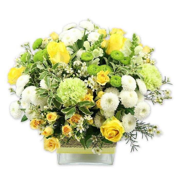 A generous, contemporary bouquet in a clear, square glass vase showcases a harmonious blend of sunny yellow, clean white, and varied greens, captured against a pure white background so that every petal and leaf stands out. Several yellow roses anchor the arrangement, their petals unfolding in soft spirals, alongside clusters of smaller yellow spray roses that nestle closely and add layers of vibrant tone. These warm hues are cooled and balanced by white pompom chrysanthemums, compact and globe-shaped, providing a cushion-like texture that supports the more open blooms. Among them, bright lime green button chrysanthemums appear as playful, bead-like spheres, while larger, pale-green frilled flowers-similar to green carnations or decorative chrysanthemums-introduce a gentle ruffle and airy fullness. Tiny white filler flowers, lightly scattered throughout, create the impression of fine mist or stars between the main blossoms, bringing delicacy and nuance. The bouquet is encircled by an abundance of fresh foliage: generous, variegated leaves edged in creamy white sit beside slender, darker green stems, giving depth, structure, and a hint of wild garden charm. Inside the clear vase, the stems are neatly arranged, and the vessel itself is wrapped mid-way with a rustic, textured band of natural fibre or bark, topped by a sleek lime green ribbon running straight around the glass, tying the earthiness of the wrap to the bright greens in the flowers. This arrangement feels at home in Cockfosters, like something you might place in a living room near Trent Park or a light-filled flat close to Cockfosters Underground station. It radiates happiness, freshness, and quiet sophistication, making it ideal as a centrepiece for a family gathering, a congratulations bouquet, or a simple way to send uplifting colour and life into someone's day.